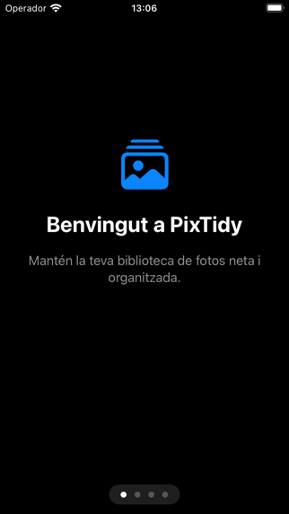 PixTidy screen